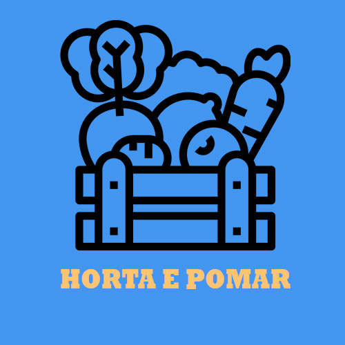 Foto da horta